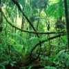 BLOG | Durchblick im Label-Dschungel